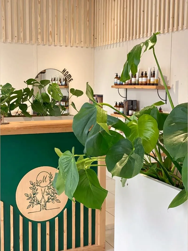 Le comptoir d'accueil de Socoa Coiffure, étagères de soins et plantes vertes