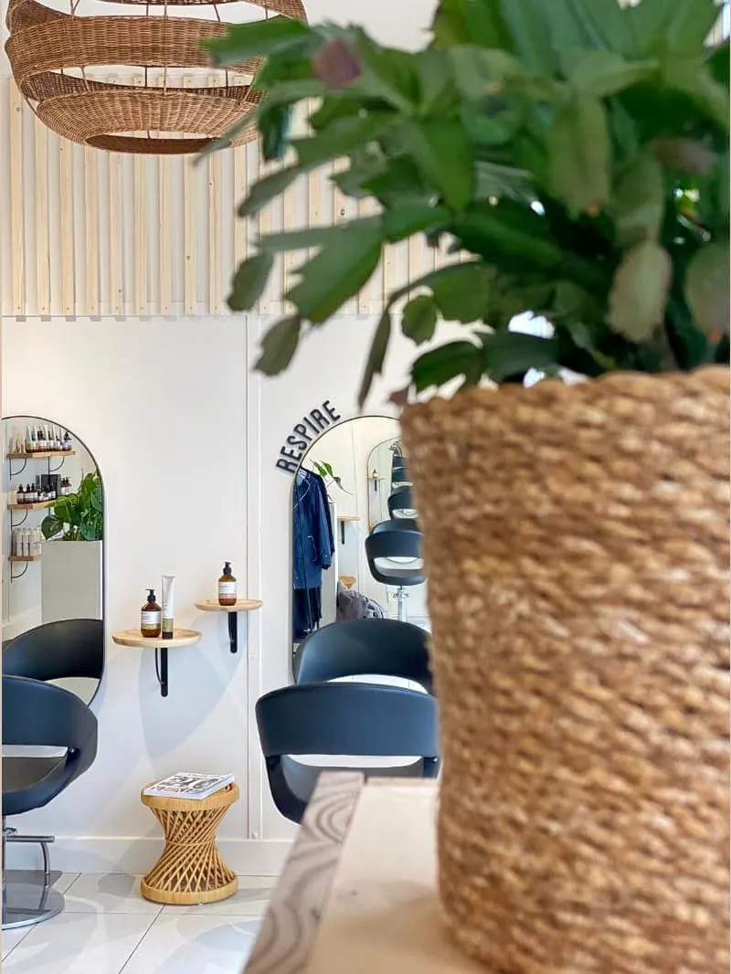 Plantes, rotin et miroirs